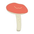 Red-cup russula mushroom hand drawn doodle vector illustration